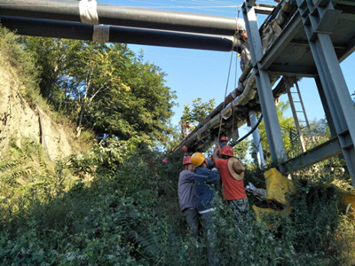 追趕超越，他們用行動爭做排頭兵