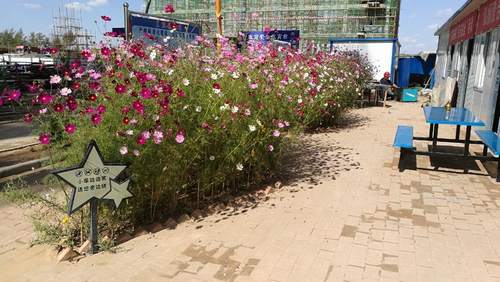 澄合分公司第十二項(xiàng)目部“花園式工地”贏贊譽(yù)