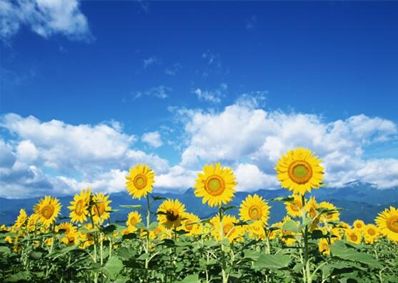 用責(zé)任點(diǎn)燃青春，以擔(dān)當(dāng)成就事業(yè)