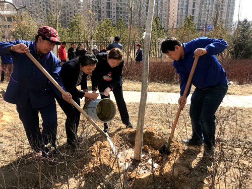 義務(wù)植樹展風(fēng)采  我與神南共成長(zhǎng)