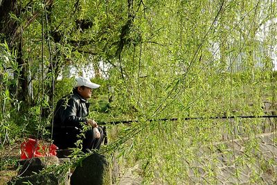 春天，一個(gè)多么富有詩(shī)意的名字啊！