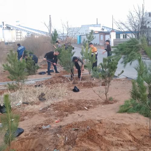 洗選煤運(yùn)營(yíng)公司洗煤廠： 開展“植樹造林美化家園”活動(dòng)