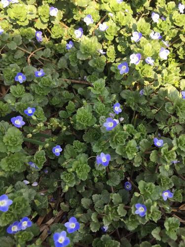 這個(gè)季節(jié)