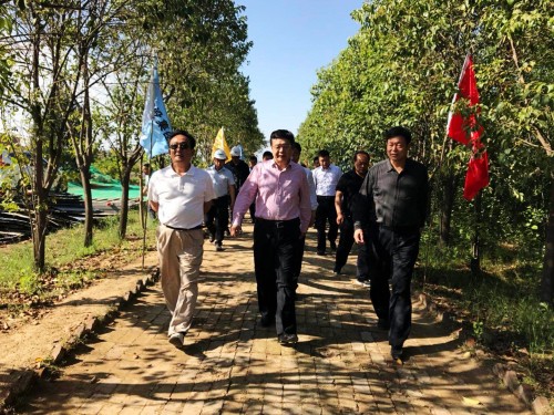 陜西省總工會黨組書記、主席白阿瑩一行蒞臨鄠邑區(qū)調(diào)研考察草堂寺健康養(yǎng)老示范項(xiàng)目