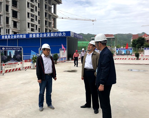司正林深入大秦置業(yè)公司江南世紀城項目檢查指導(dǎo)安全工作