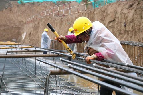 雨天里，“小蜜蜂們”在“筑巢”