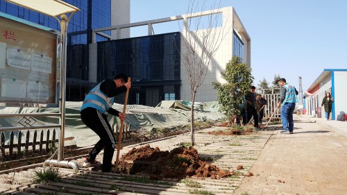 陜煤建設(shè)澄合分公司基層單位開展“植樹護(hù)綠，美麗家園”義務(wù)植樹活動(dòng)
