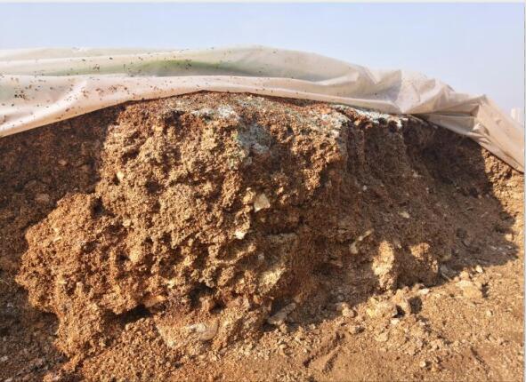 “廢料”變“肥料”，蘑菇包在土壤改良中的應(yīng)用