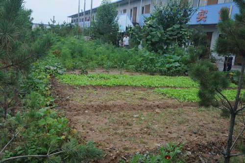 陜煤建設(shè)掘進(jìn)公司：北翼項目部“綠色農(nóng)場”開張啦