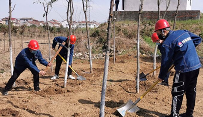 今天你植樹了嗎？