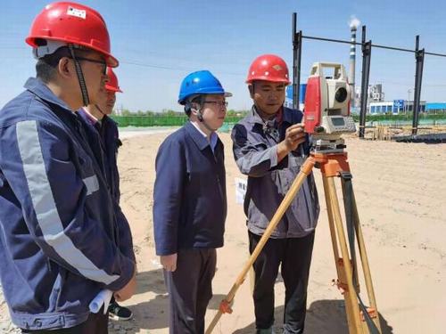 陜煤建設洗選煤運營公司佳縣甜葉菊項目部：技術保質(zhì)量 安全促發(fā)展