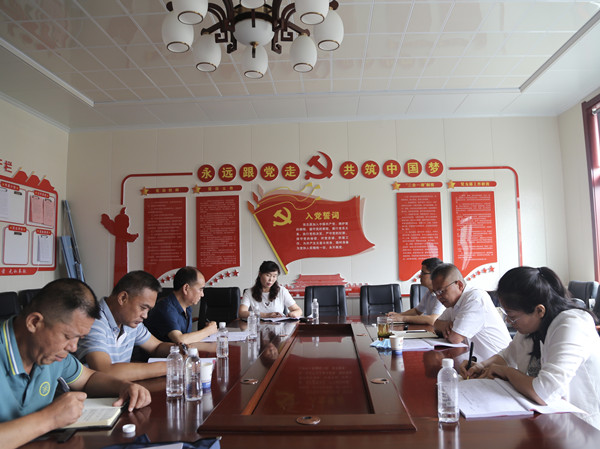 陜煤建設(shè)機電安裝公司召開黨支部標準化建設(shè)督導推進會