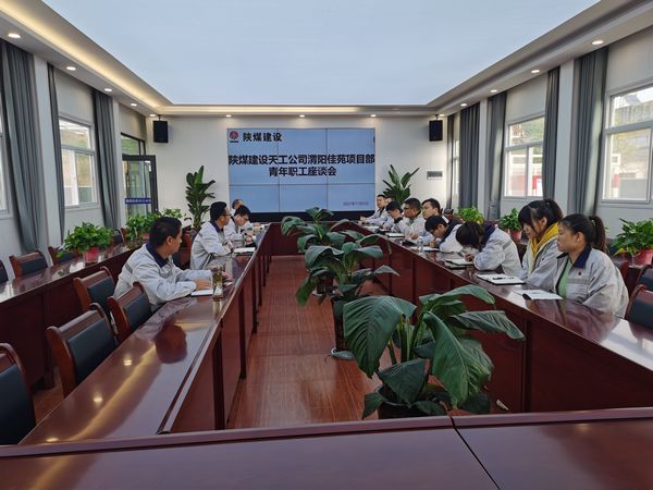 陜煤建設(shè)天工公司渭陽(yáng)佳苑項(xiàng)目部召開(kāi)“學(xué)習(xí)本領(lǐng)+錘煉品德”專題青工座談會(huì)