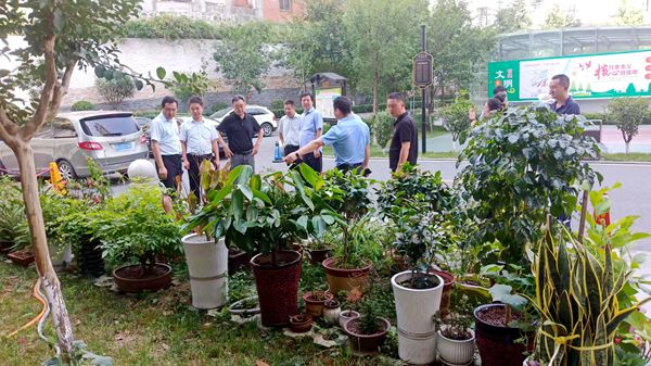 陜煤建設大秦置業(yè)公司：龍灣水境創(chuàng)文工作迎“大考”