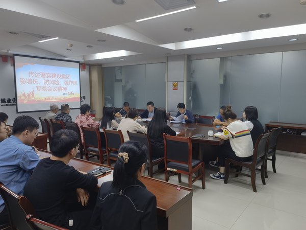 陜煤建設各單位傳達落實建設集團穩(wěn)增長、防風險、強作風工作部署會議精神