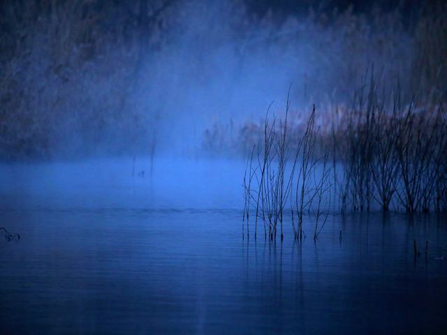 “冬月”你好！