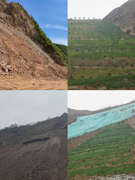 渣山變綠林，碎石堆場批“綠裝”