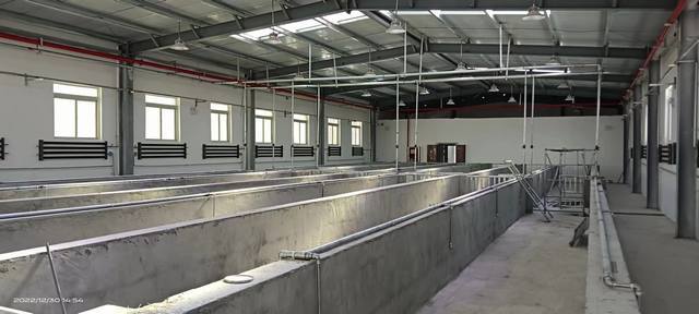 陜煤建設(shè)韓城分公司：年終歲末，西藏喜訊接踵而至！