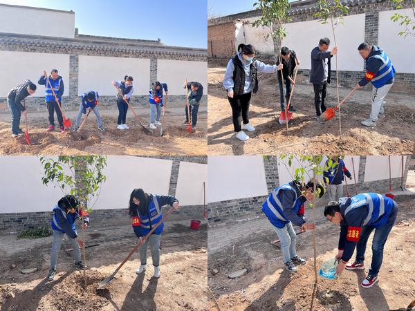 陜煤建設韓城分公司土建四項目部：栽種綠色希望，不負青春時光