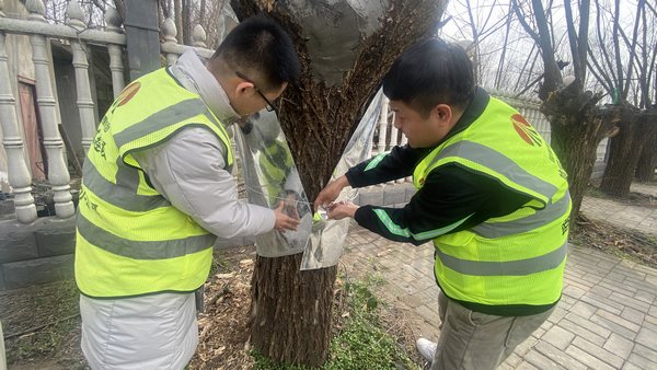 陜煤建設(shè)路橋分公司渭南項(xiàng)目部開展“綠色修復(fù)，生態(tài)共贏”別樣植樹節(jié)活動(dòng)