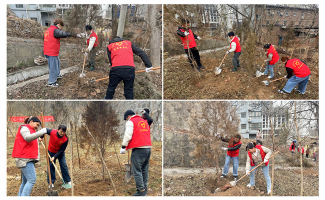 陜煤建設(shè)機(jī)電安裝公司：走，上春山，植樹去！
