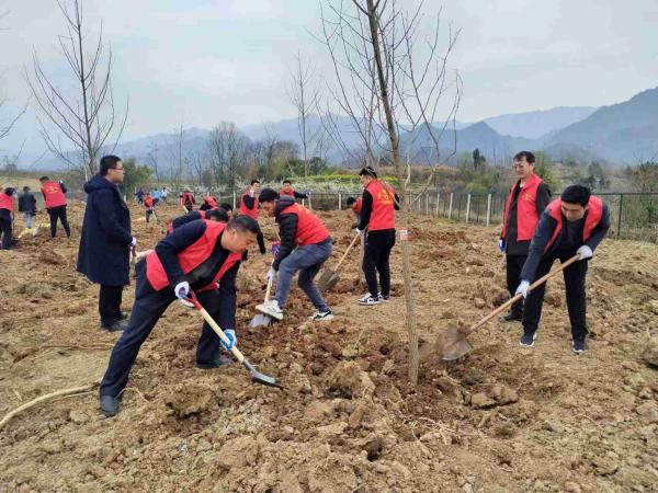 陜煤建設(shè)駐村工作隊參加春季義務(wù)植樹活動