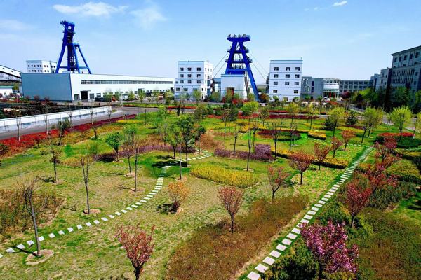 踏尋春天的底色，感知生命的力量