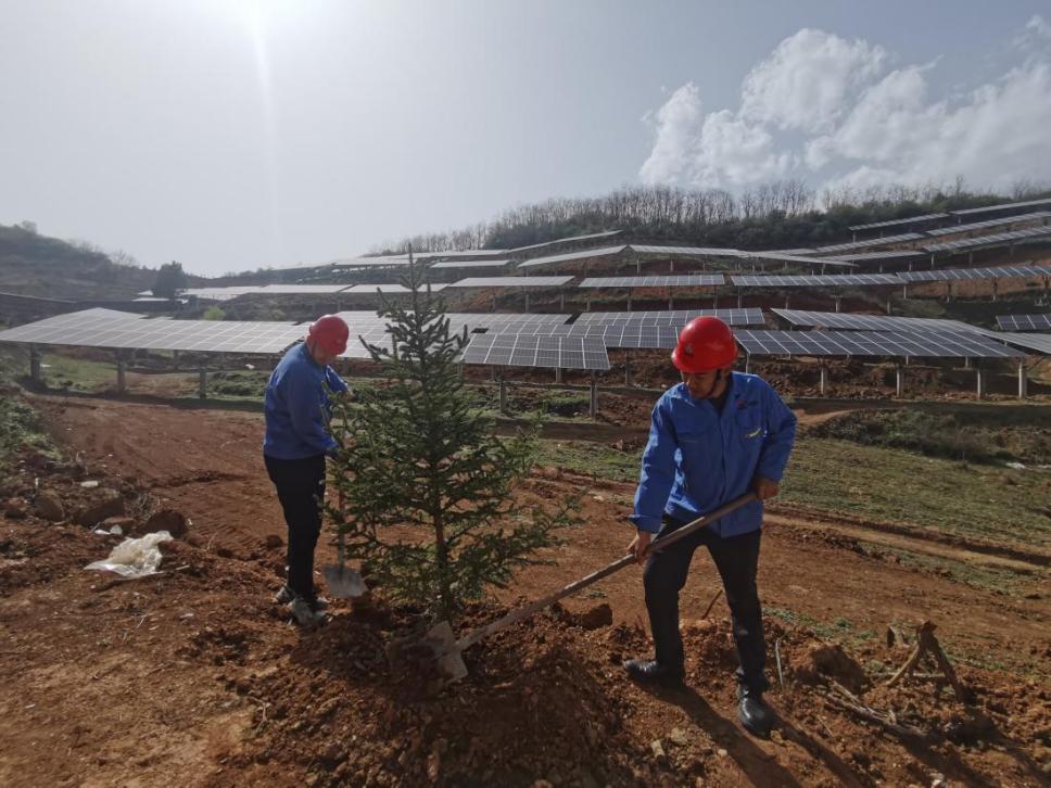 陜煤建設(shè)西北分公司機(jī)電安裝項(xiàng)目部： 全員參與，共筑綠色屏障