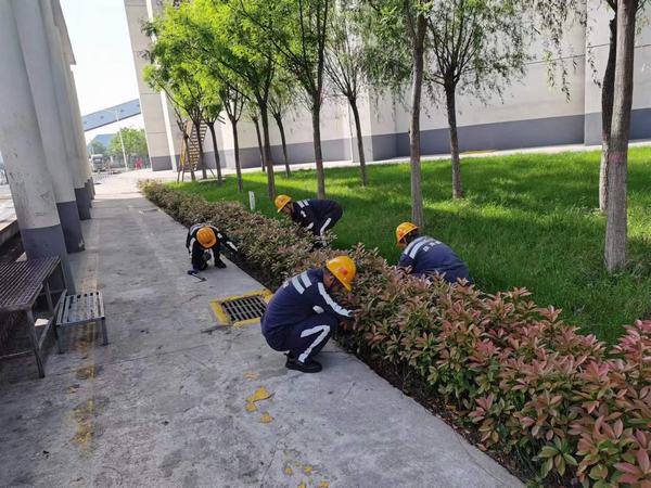 陜煤建設(shè)洗選煤運(yùn)營(yíng)公司神渭蒲城運(yùn)營(yíng)項(xiàng)目部：逐”綠”而行 向”綠”而興！廠區(qū)綠化在行動(dòng)