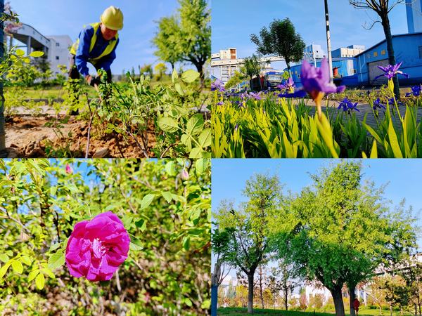 陜煤建設(shè)洗選煤運(yùn)營(yíng)公司紅柳林洗煤廠項(xiàng)目部：強(qiáng)化綠色三大支柱  筑牢綠色生態(tài)屏障