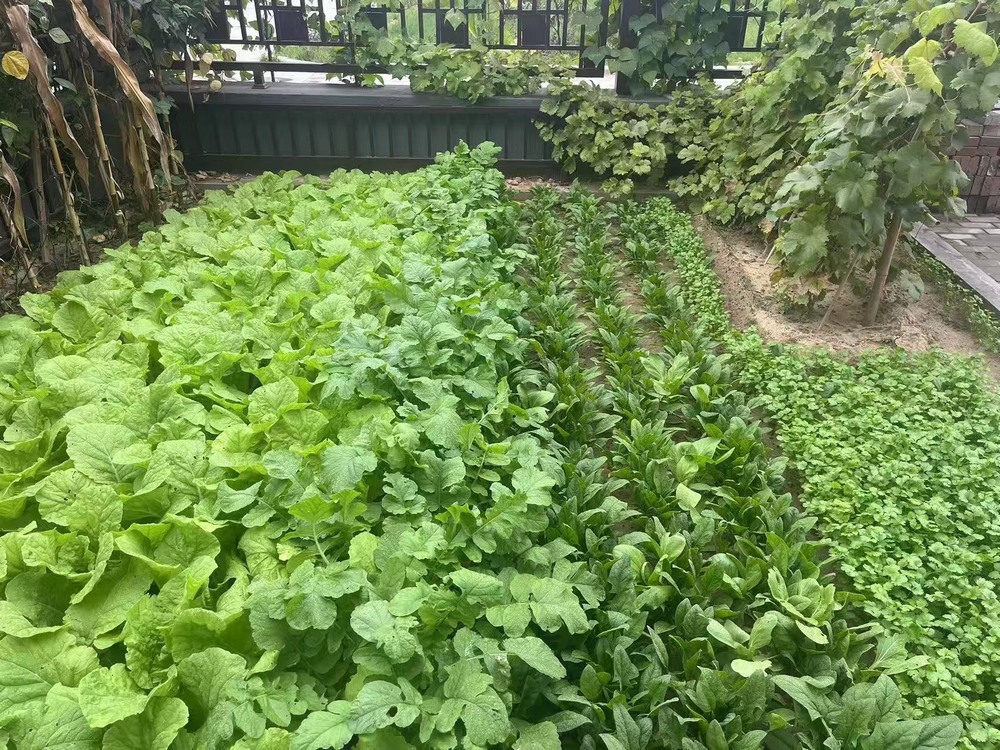 工地之上，家的溫度悄然綻放