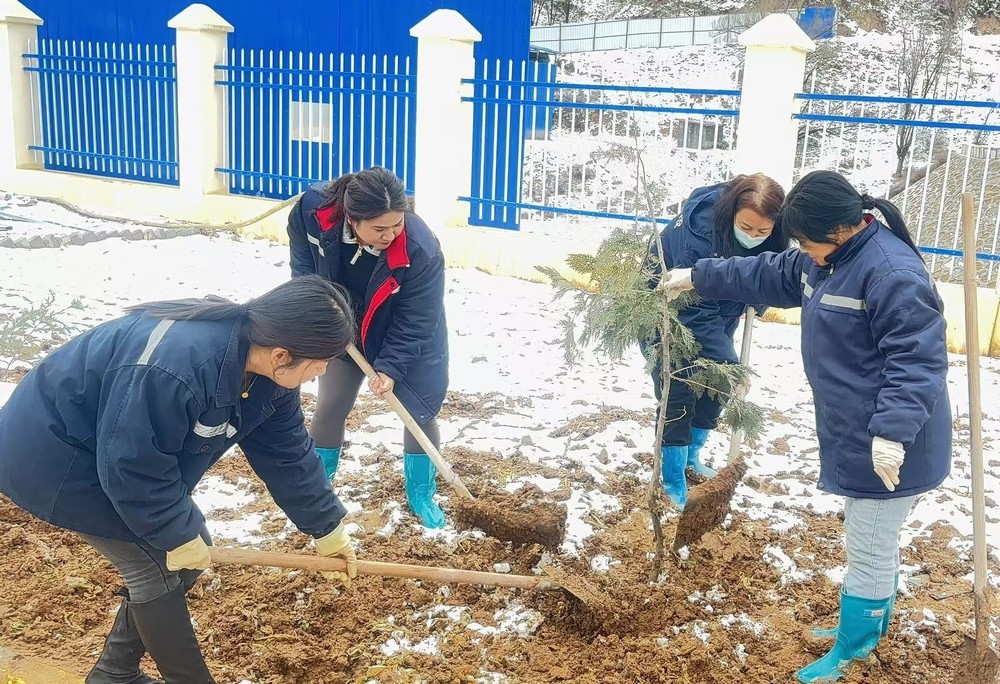 陜煤建設(shè)礦建三公司：巾幗添綠綻芳華，共筑生態(tài)新環(huán)境