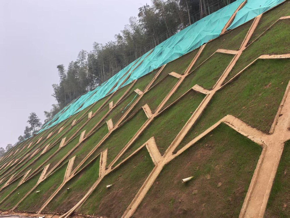 陜煤建設(shè)西北分公司：邊坡披綠衣，防護(hù)顯匠心