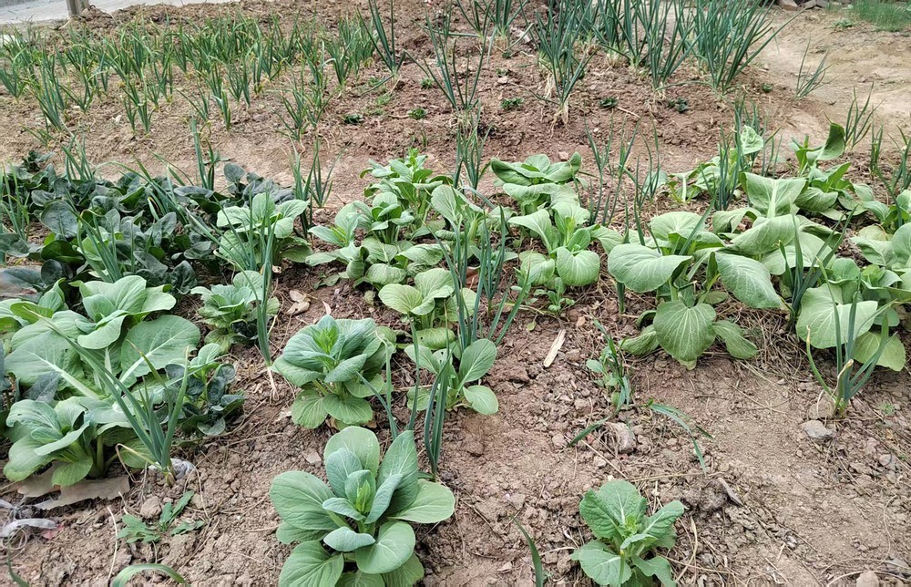 陜煤建設(shè)澄合分公司:情系職工辦實事 點滴關(guān)懷暖人心