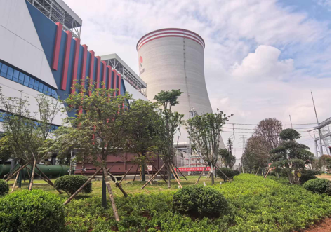 陜煤建設(shè)西北分公司：綠意盎然入電廠，生態(tài)建設(shè)譜新章