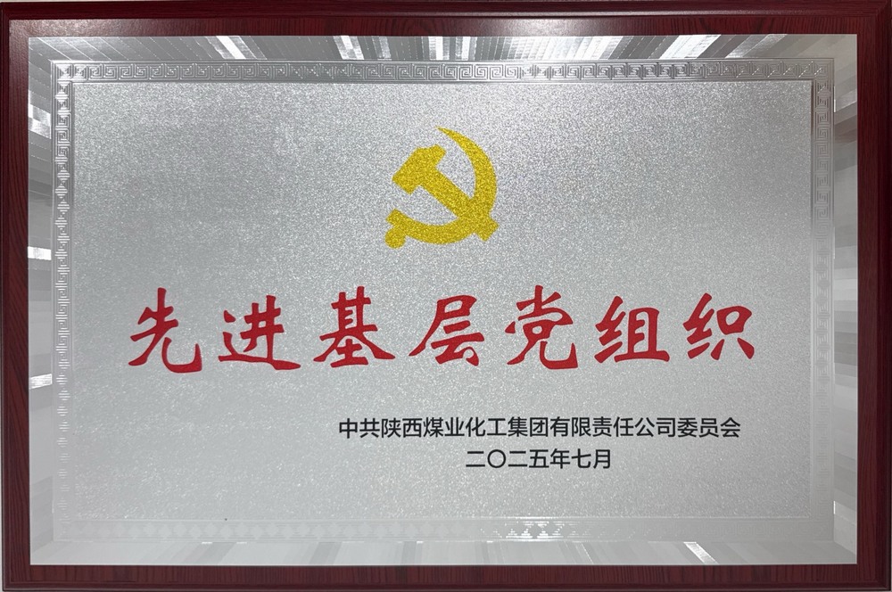 陜煤建設(shè)綠宇公司：榮獲陜煤集團(tuán)“先進(jìn)基層黨組織”稱號(hào)