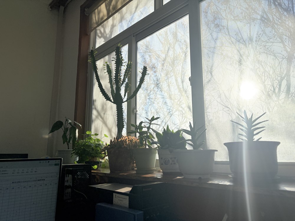 冬陽(yáng)正好，步履鏗鏘