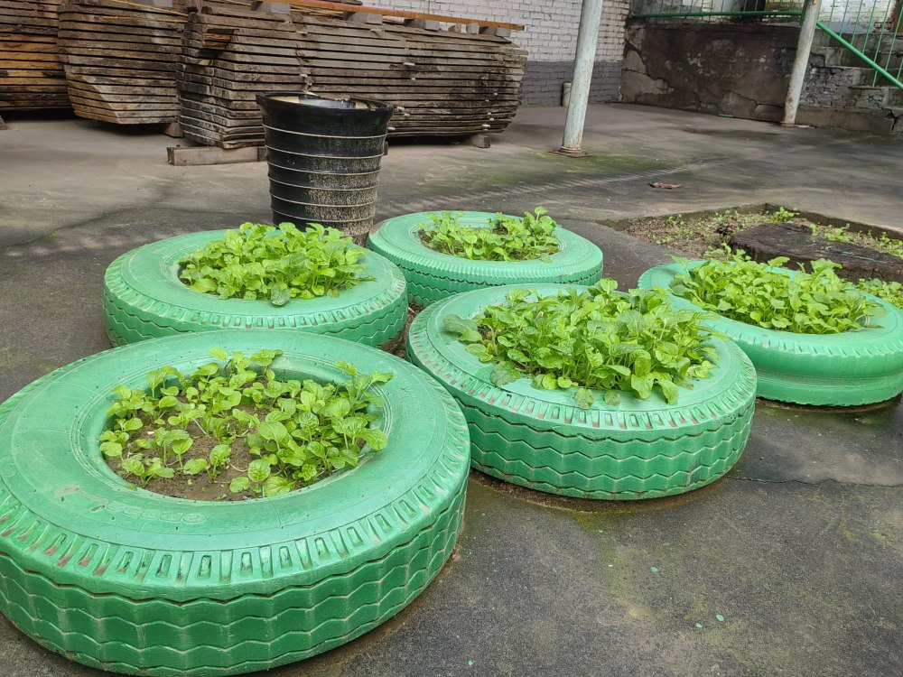 創(chuàng)意無休，廢舊輪胎也能C位出道