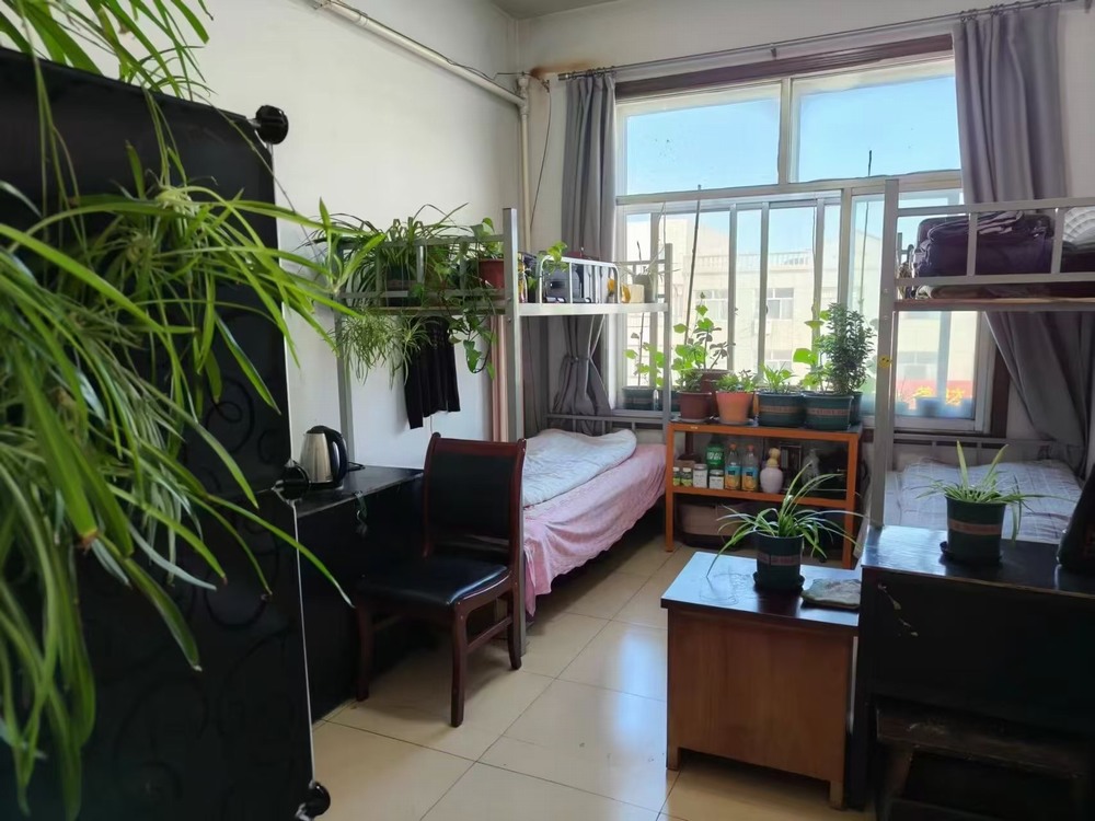 陜煤建設(shè)洗選煤運(yùn)營公司檸條塔運(yùn)營項(xiàng)目部黨支部：黨建領(lǐng)航強(qiáng)根基 廉潔鑄魂促發(fā)展