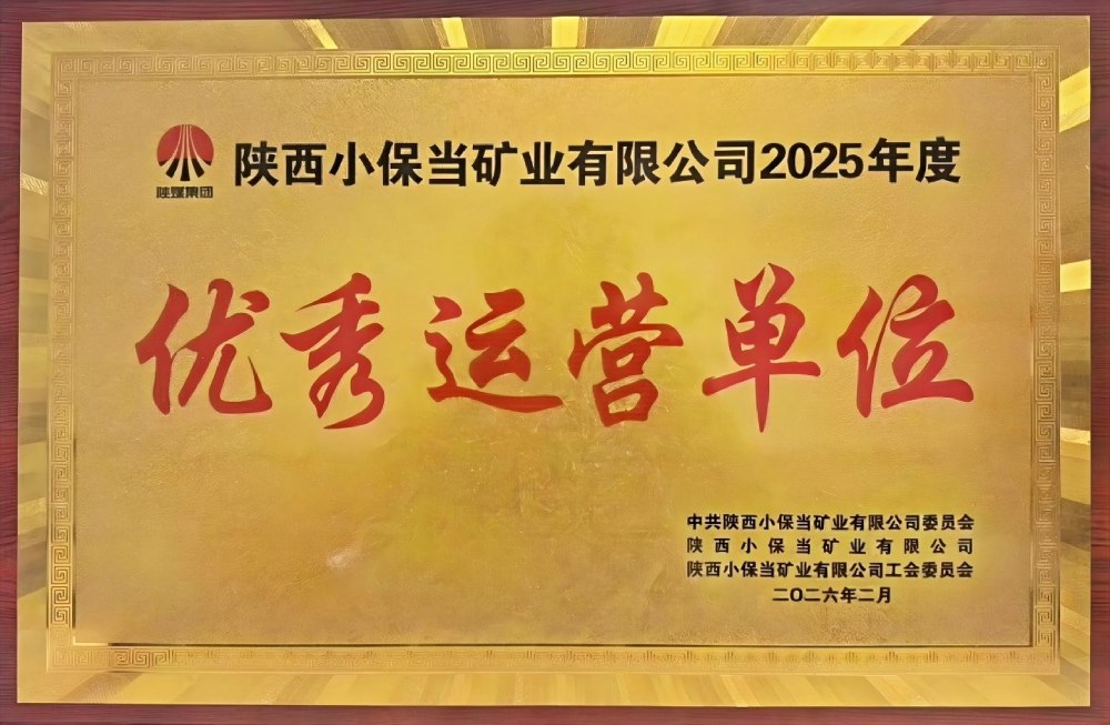 榮譽(yù)雙響，實(shí)力印證！