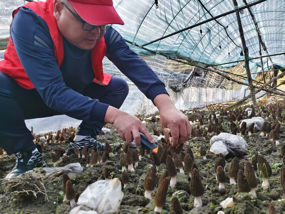 陜煤建設(shè)煤礦運(yùn)營服務(wù)分公司:駐村干部顯擔(dān)當(dāng) 宣傳賦能促振興